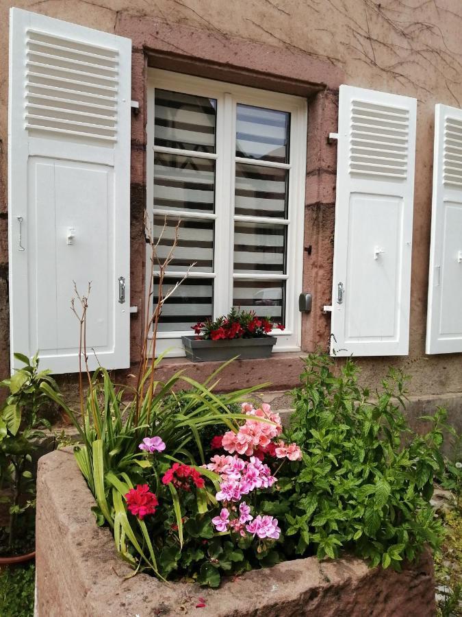 Gîte Le Patio Kaysersberg-Vignoble Extérieur photo